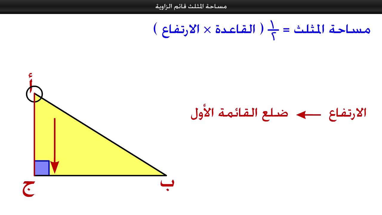 الدوال المثلثية في المثلثات القائمة