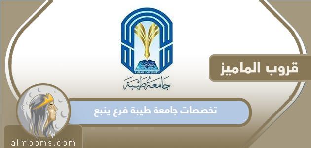 تخصصات جامعة طيبة فرع ينبع